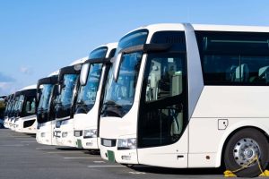 A row of white buses parked diagonally in a lot under a clear blue sky, creating a sense of order and readiness.
